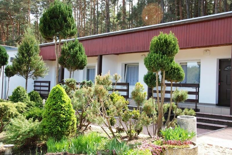 Osrodek Wypoczynkowy Sosenka Apartamento Zalom  Exterior foto
